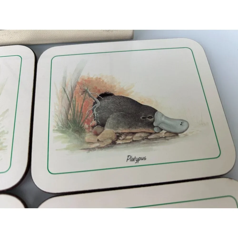 Jason Coasters Australian Animal Wildlife Set 6 Cork Back Kangaroo Koala Wombat